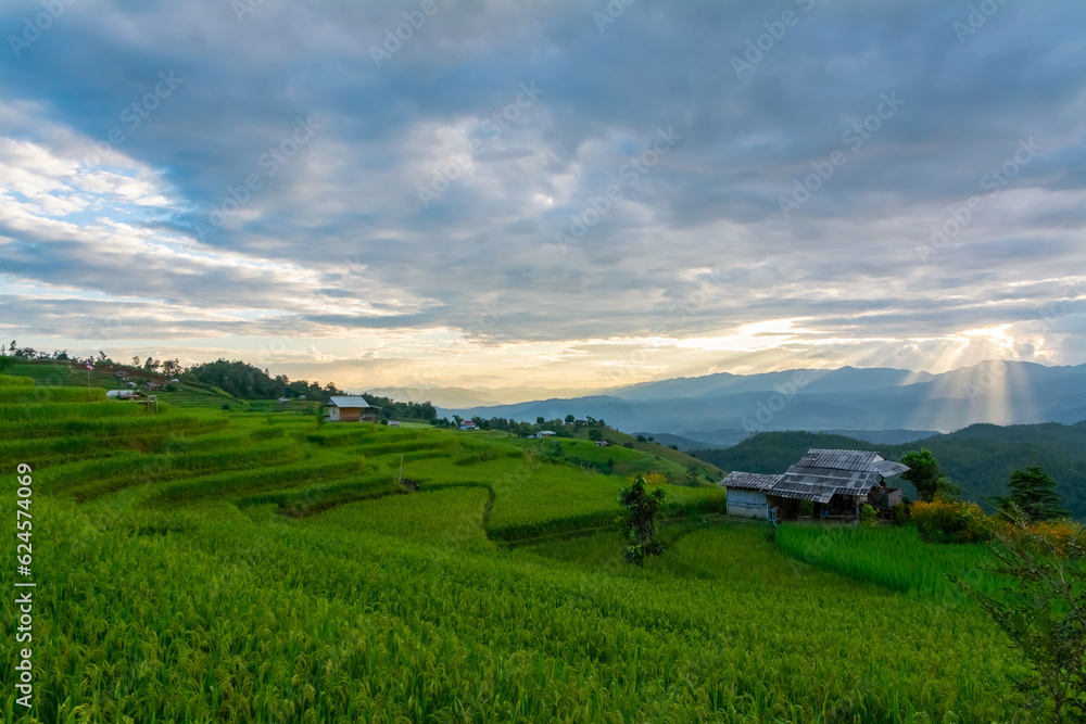 View of rice terrace at Ban Pa Bong Piang, Chiang Mai, Thailand