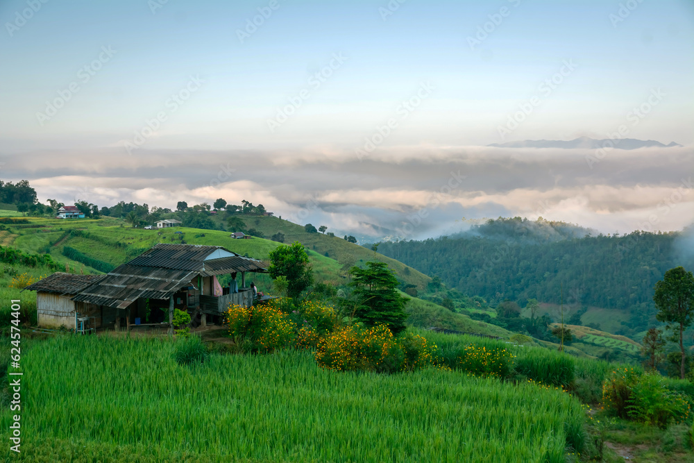 View of rice terrace at Ban Pa Bong Piang, Chiang Mai, Thailand View of rice terrace at Ban Pa Bong Piang, Chiang Mai, Thailand