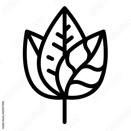 Leaves