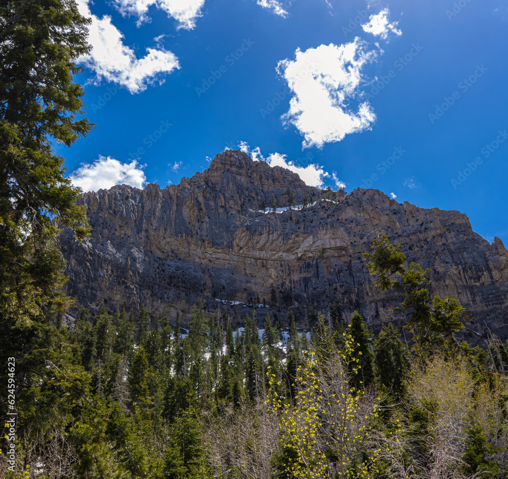 The Face of Cathedral Rock From The Cathedral Rock Trail, Spring Mountains National Recreation Area, Nevada, USA The Face of Cathedral Rock From The Cathedral Rock Trail, Spring Mountains National Recreation Area, Nevada, USA