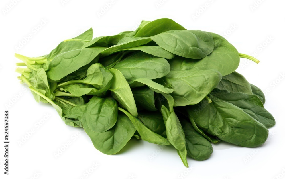 fresh spinach freisolated on white background fresh spinach freisolated on white background