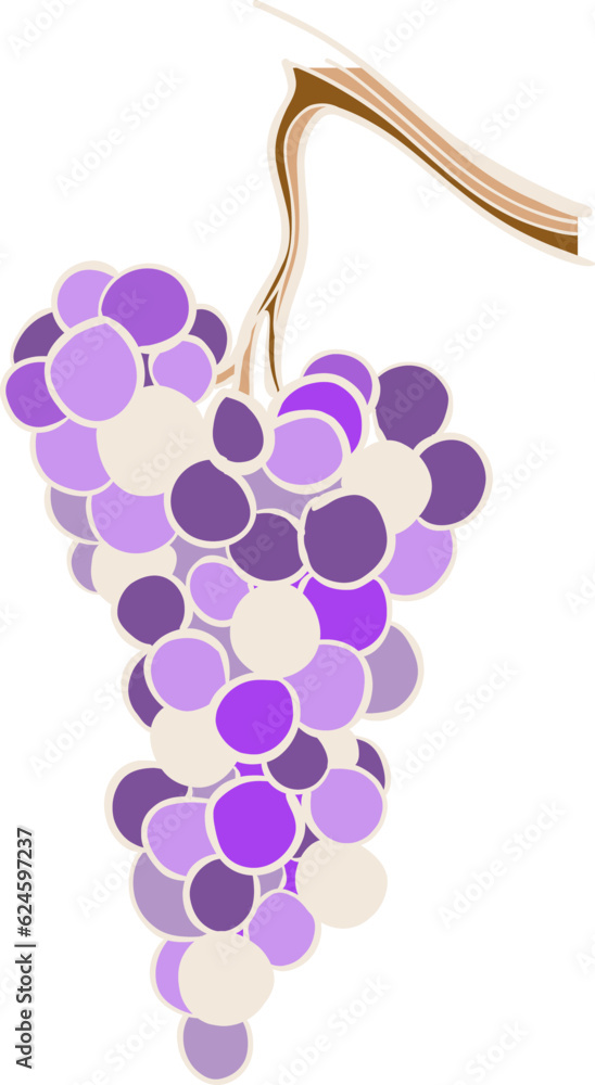Grape isolate on white background Grape isolate on white background