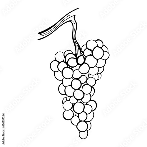 bunch of grapes minimal line art black and white