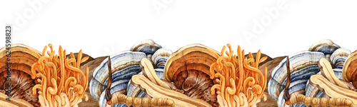 Wallpaper Mural Medicinal mushrooms seamless border. Watercolor illustration. Various painted medicinal fungi in decorative vintage style border. Reishi, cordyceps, turkey tail medical mushroom decor element Torontodigital.ca