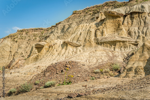 Unique rock formations and hoodoos shaped by erosion in the Avonlea Badlands  near Avonlea  Saskatchewan  Canada