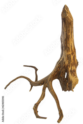 Dead bare branches on driftwood stump isolated on transparent background. PNG transparency