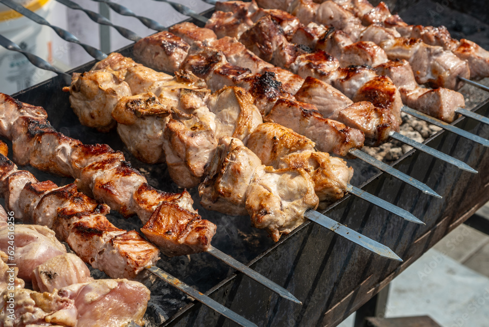 Meat and chicken shish kebab on skewers on coals in the grill.