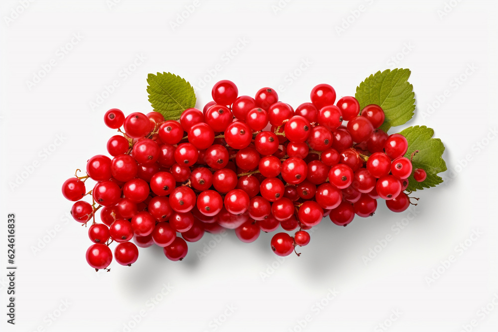 red currant isolated on white background red currant isolated on white background