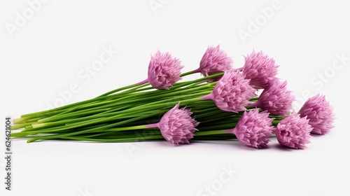 Food photography background banner - kitchen herb  chives  isolated on white background  Generative Ai 