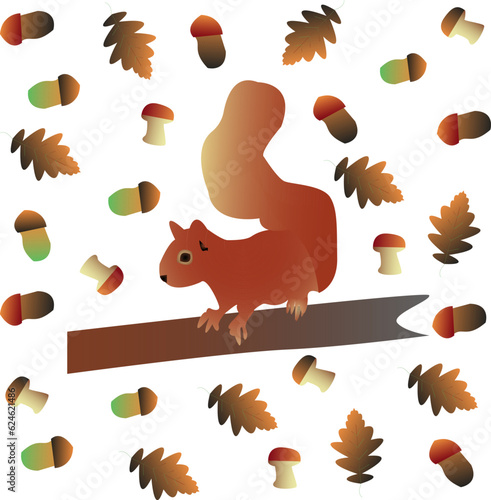 Vector squirell with acorns, mushrooms, oak seeds and leaves. Autumn theme.