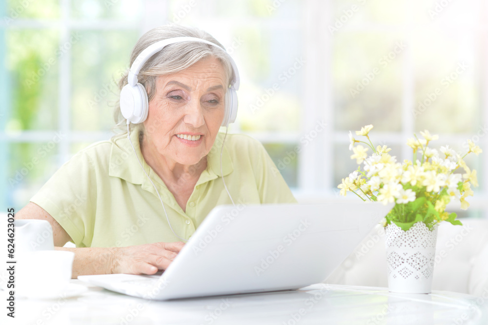 old nice woman using laptop at home old nice woman using laptop at home