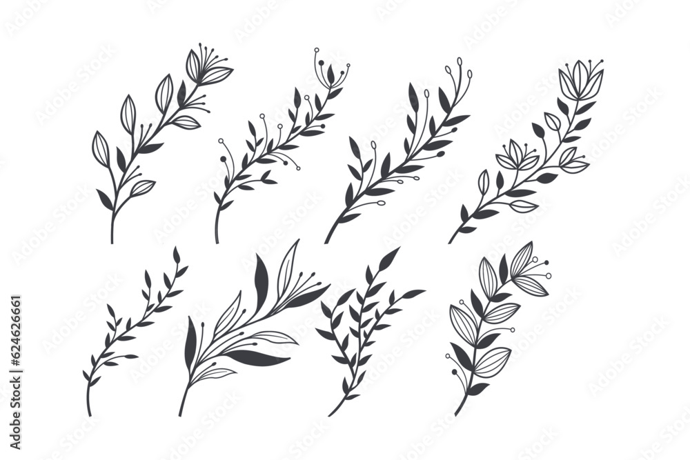 Wellness beauty and spa feminine Botanical. Logo element with hand drawn flowers. minimal style with composition set of elegant herbs leaves Wellness beauty and spa feminine Botanical. Logo element with hand drawn flowers. minimal style with composition set of elegant herbs leaves