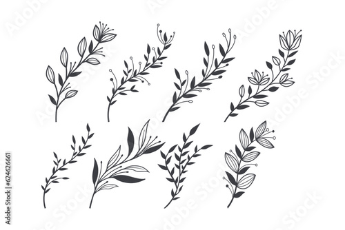Wellness beauty and spa feminine Botanical. Logo element with hand drawn flowers. minimal style with composition set of elegant herbs leaves	