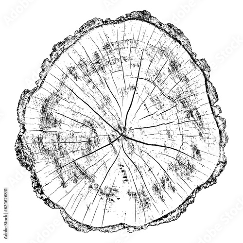 Wood texture cross section of tree rings. Cut slice of wooden stump isolated on white. Textured surface with rings and cracks. Black background made of hardwood from the forest. Vector illustration.