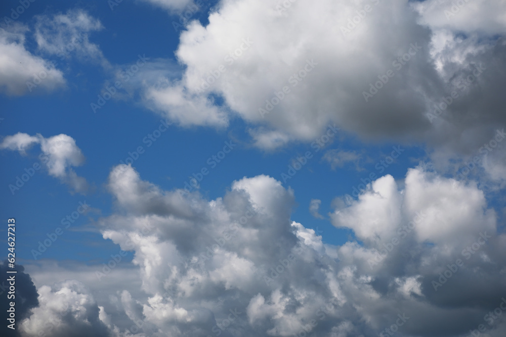 Fototapeta premium Sky background with cumulus clouds. Calm sunny day.