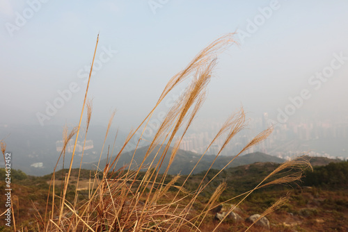 a nature view at HA FA SHAN Tsuen Wan Jan 1 2016 photo