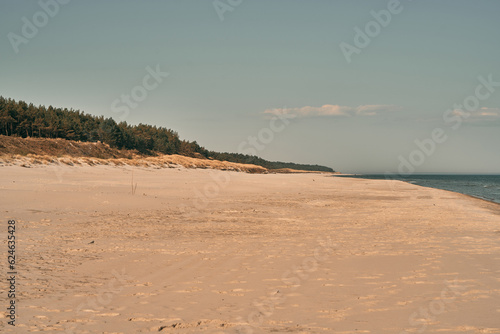 Fototapeta Naklejka Na Ścianę i Meble -  Empty sea shore in the morning. Baltic Sea sand beach. Concept of vacationing.