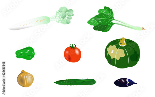 使える夏の野菜のイラストセット