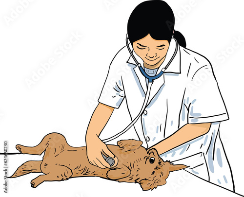 cartoon vet woman treating dog