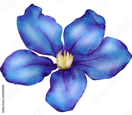 Blue Flower Watercolor illustration