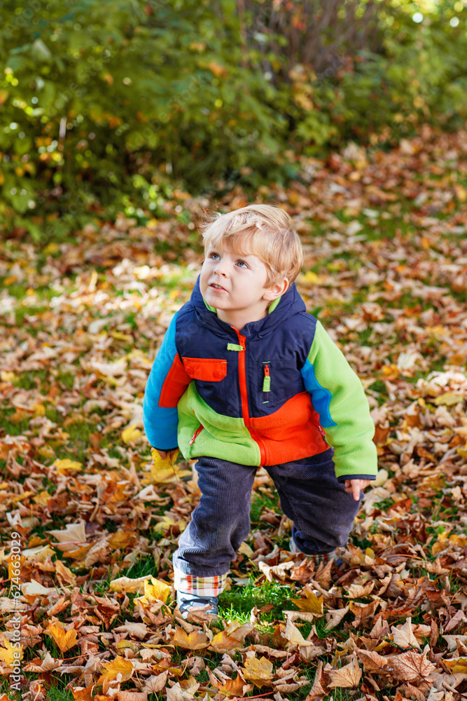 Cute little boy playing with maple leaves outdoors. Happy child walking in autumn park. Toddler baby boy wears trendy jacket . smiling Blonde boy portrait. Autumn fashion. Stylish child outside. Cute little boy playing with maple leaves outdoors. Happy child walking in autumn park. Toddler baby boy wears trendy jacket . smiling Blonde boy portrait. Autumn fashion. Stylish child outside.