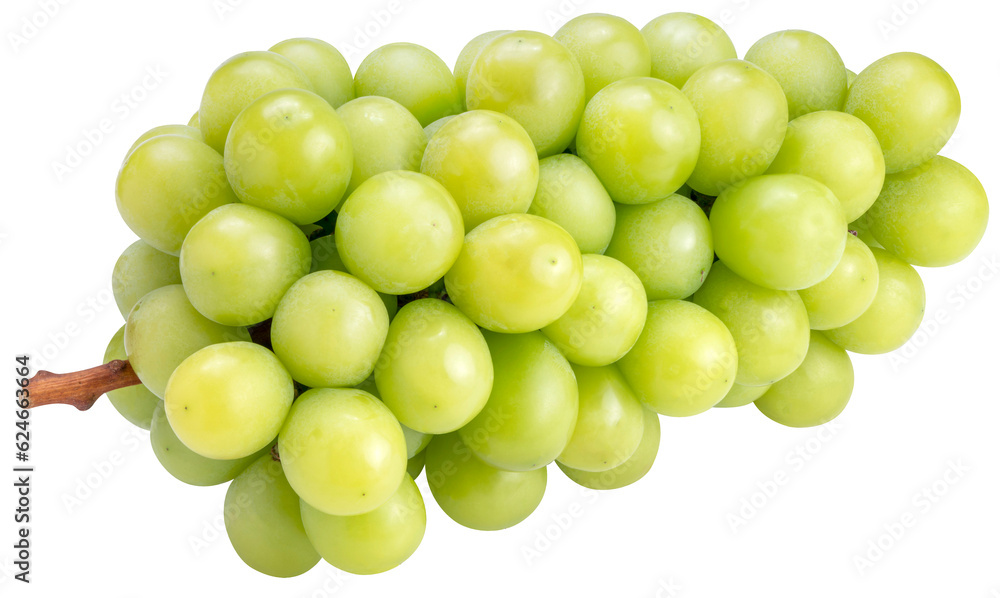 Shine Muscat Grape on white background, Green grape isolate on white with clipping path. Shine Muscat Grape on white background, Green grape isolate on white with clipping path.