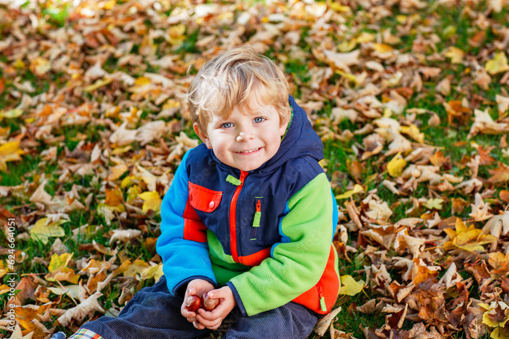 Cute little boy playing with maple leaves outdoors. Happy child walking in autumn park. Toddler baby boy wears trendy jacket . smiling Blonde boy portrait. Autumn fashion. Stylish child outside. Cute little boy playing with maple leaves outdoors. Happy child walking in autumn park. Toddler baby boy wears trendy jacket . smiling Blonde boy portrait. Autumn fashion. Stylish child outside.