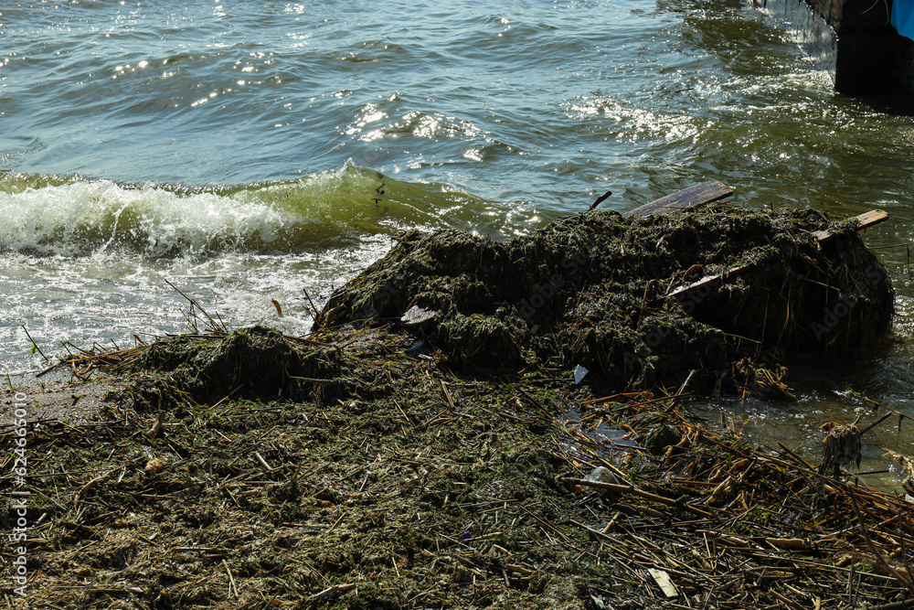 Pollution of the water body with plastic waste and garbage Pollution of the water body with plastic waste and garbage