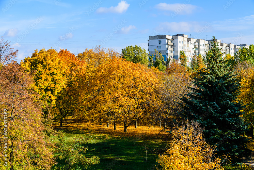 Yellow trees at the city park on autumn