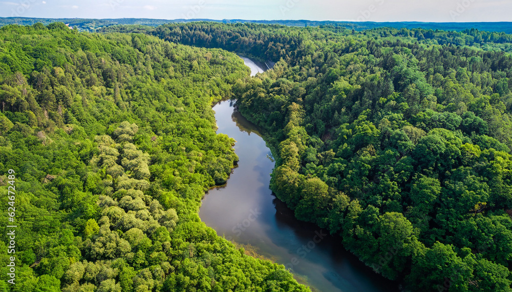 Aerial view of a green forest with a curved river. Epic view. Clean environmentally friendly sustainable development concept. Green jungle. Ai generative. Aerial view of a green forest with a curved river. Epic view. Clean environmentally friendly sustainable development concept. Green jungle. Ai generative.