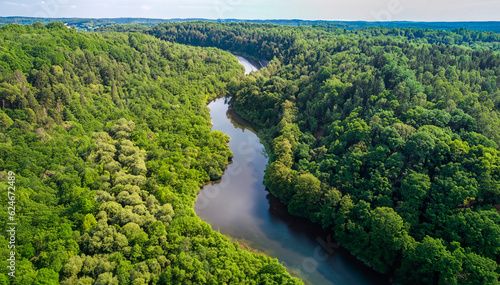 Aerial view of a green forest with a curved river. Epic view. Clean environmentally friendly sustainable development concept. Green jungle. Ai generative.