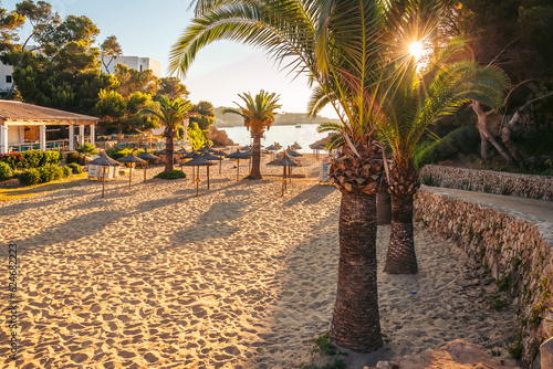 Obraz na płótnie Palm trees in the Cala d'or beach on the island of Mallorca in the rays of the evening sunset w salonie