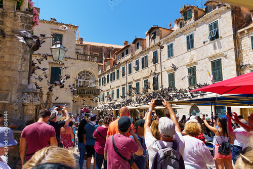 a crowd of tourists takes pictures of a flock of pigeons on the street of the old town of Dubrovnik in Croatia, medieval European architecture