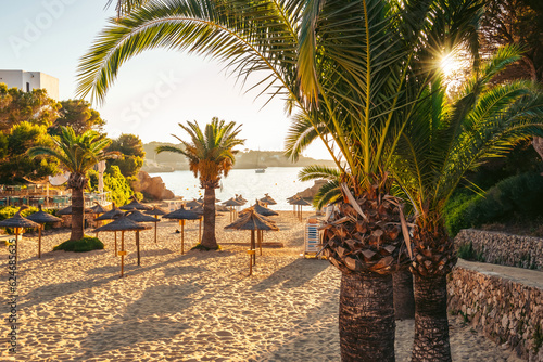 Fotografia Palm trees in the Cala d'or beach on the island of Mallorca in the rays of the e