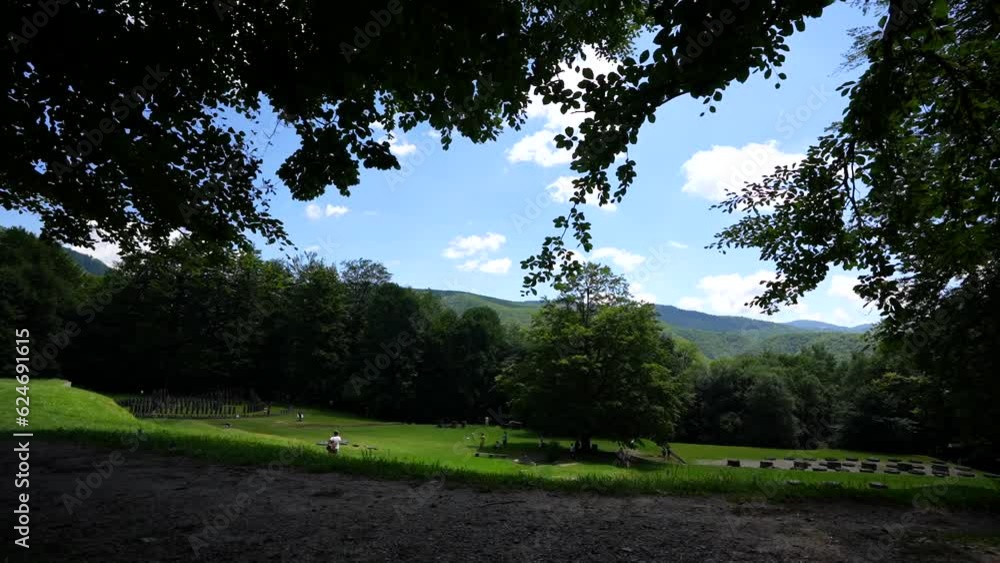 4K wide angle video, pan camera movement, with a tree in foreground at Sarmizegetusa Regia historical landmark fortress from Romania. 4K wide angle video, pan camera movement, with a tree in foreground at Sarmizegetusa Regia historical landmark fortress from Romania.