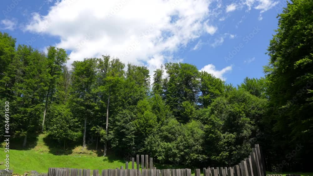 4K wide angle video, pan camera movement, with a tree in foreground at Sarmizegetusa Regia historical landmark fortress from Romania. 4K wide angle video, pan camera movement, with a tree in foreground at Sarmizegetusa Regia historical landmark fortress from Romania.