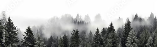 coniferous forest isolated on a white background panorama, tops of fir trees. Generative AI © kichigin19