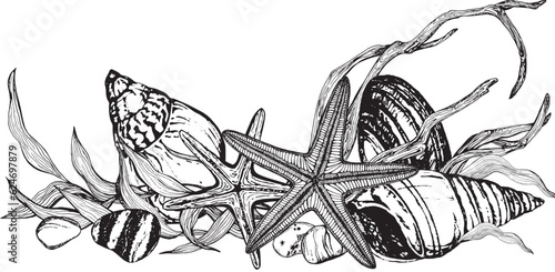Sea composition banner from seashells, algae stones, starfish, stones. Black and white hand-drawn graphics translated into vector illustration