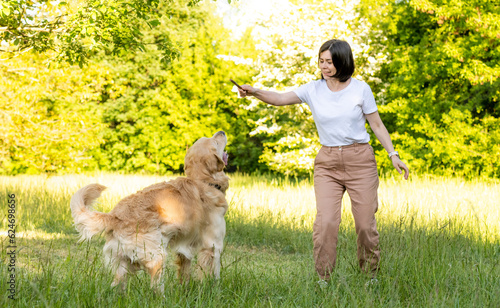 Girl training golden retriever dog outdoors © Ievgen Skrypko