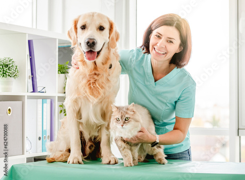 Smiling woman veterinarian with golden retriever dog and fluffy cat at work in clinic