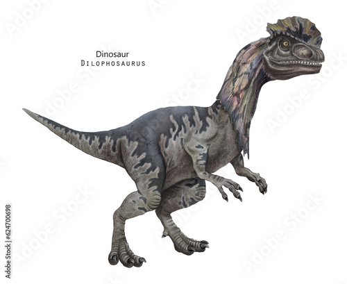 Dilophosaurus illustration. Dinosaur with crest on head. Grey dino