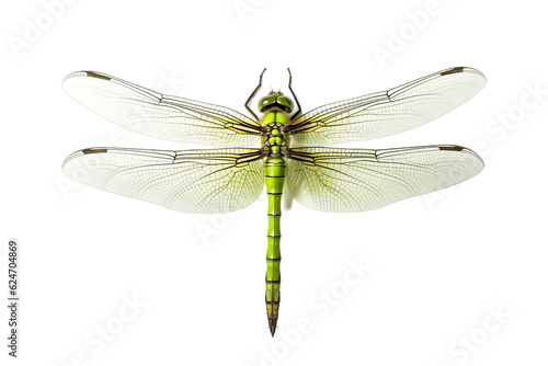 Isolated Top View of Green Dragonfly on Transparent Background. Generative AI