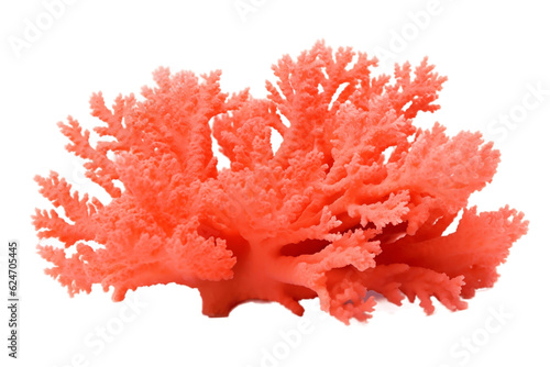 Isolated Orange Soft Coral on a Transparent Background. Generative AI