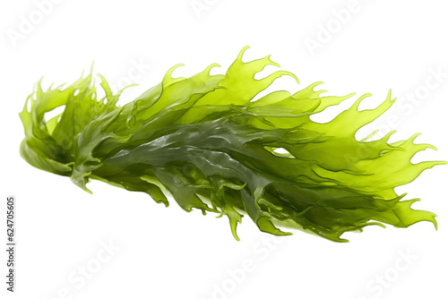 Isolated Seaweed on a Transparent Background. Generative AI