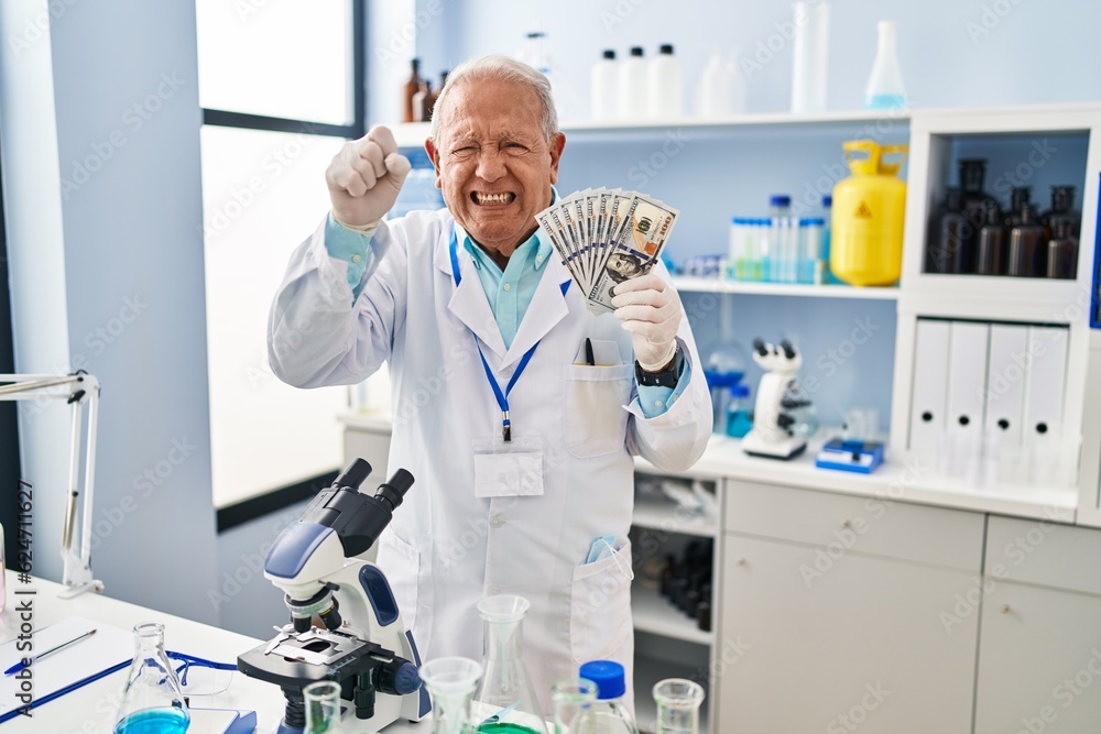 Senior scientist with grey hair working at laboratory holding dollars annoyed and frustrated shouting with anger, yelling crazy with anger and hand raised Senior scientist with grey hair working at laboratory holding dollars annoyed and frustrated shouting with anger, yelling crazy with anger and hand raised