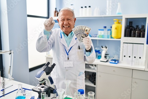 Senior scientist with grey hair working at laboratory holding dollars annoyed and frustrated shouting with anger  yelling crazy with anger and hand raised