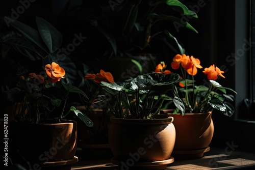 potted plants in shadows with a dark background. Generative AI