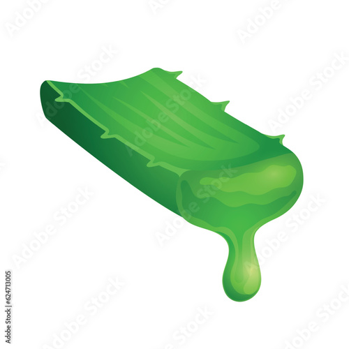 Green Aloe Vera slice with juice and drop. Vector illustration in flat cartoon style, isolated on white background
