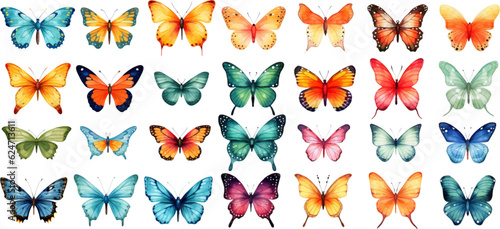 Watercolor set of bright vector hand painted butterflies white background