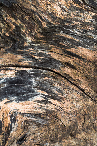 background wood